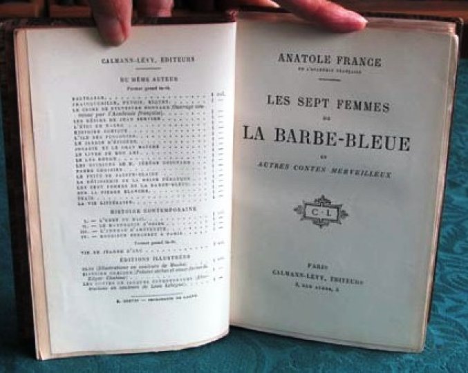 le livre la bicyclette bleue et biographie