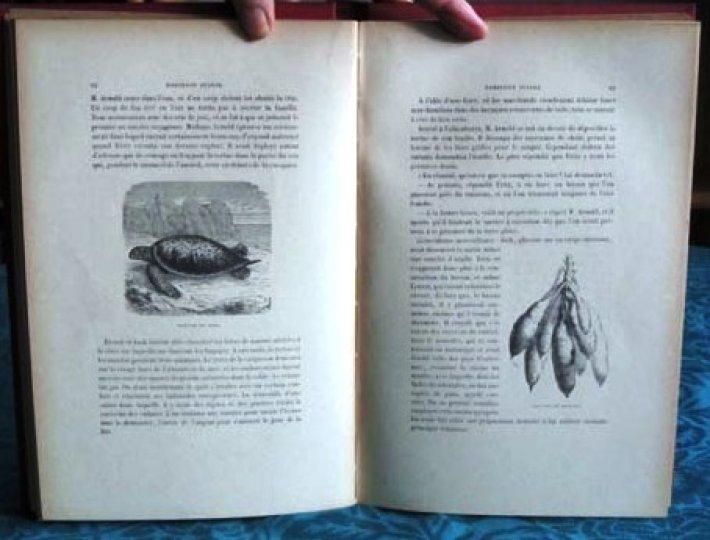 Le Robinson Suisse. Livres et collections